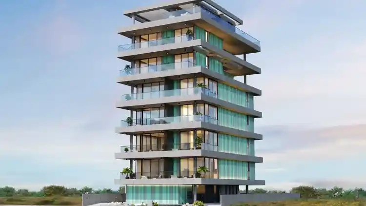 Project Image 1