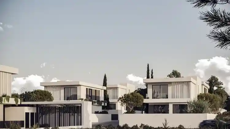 Project Image 8