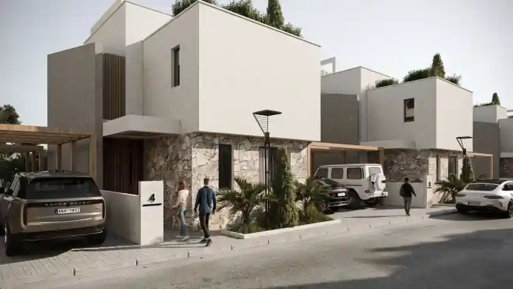 Project Image 12