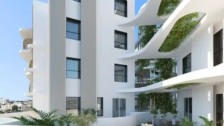 Project Image 7