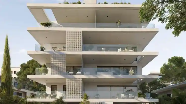 Project Image 1