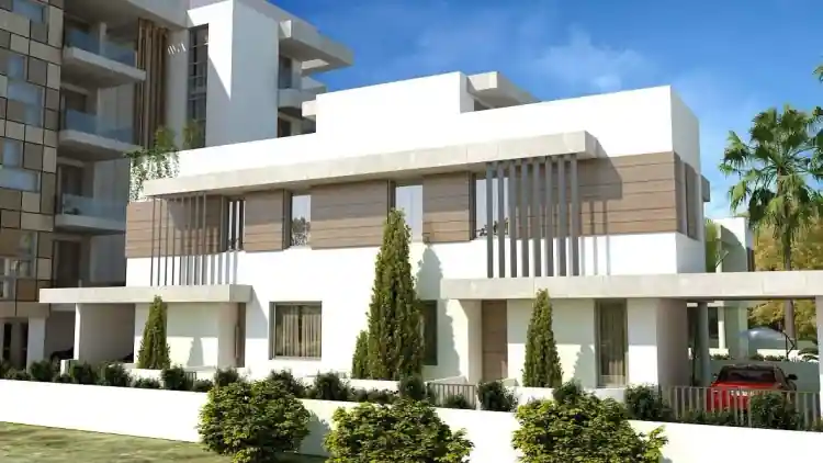 Project Image 5
