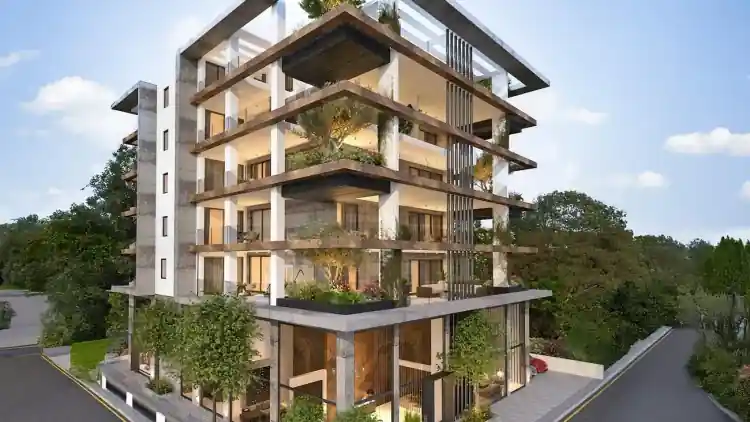Project Image 1