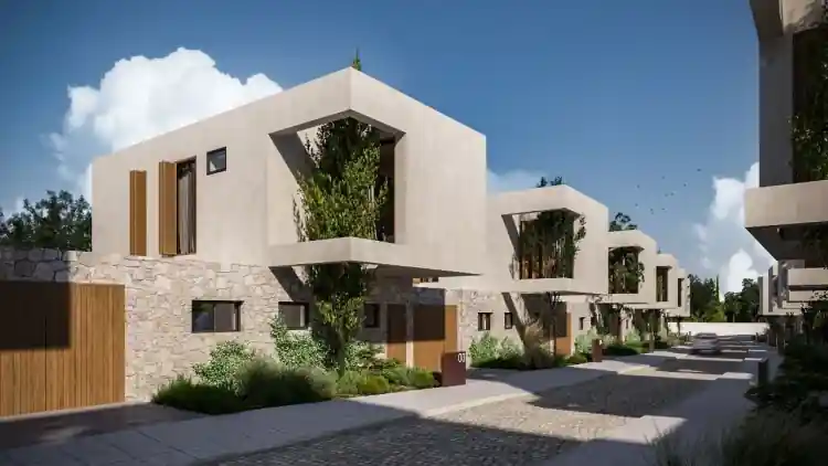 Project Image 6