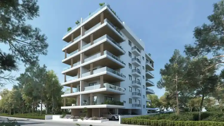 Project Image 4