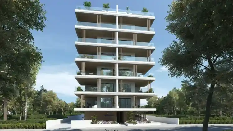 Project Image 2