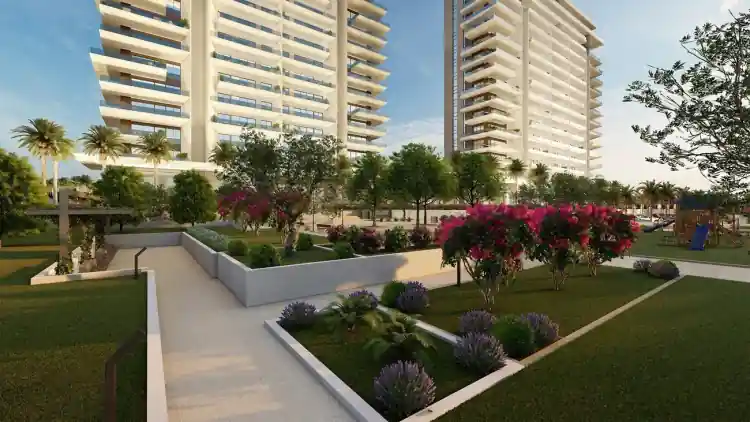 Project Image 6