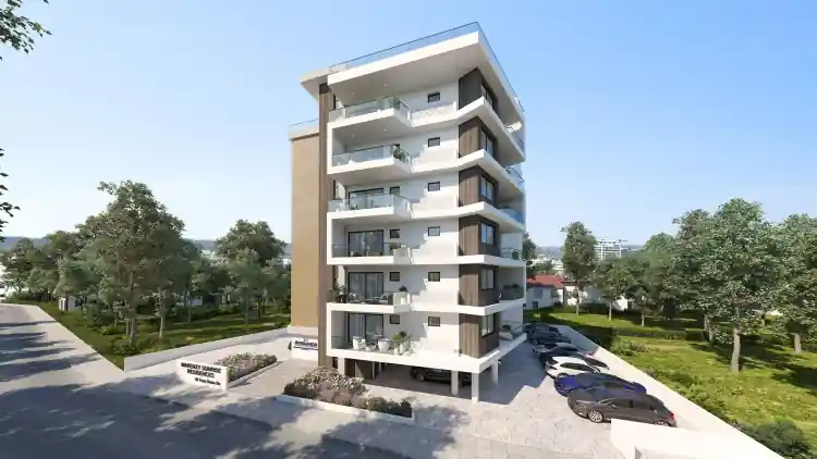 Project Image 2