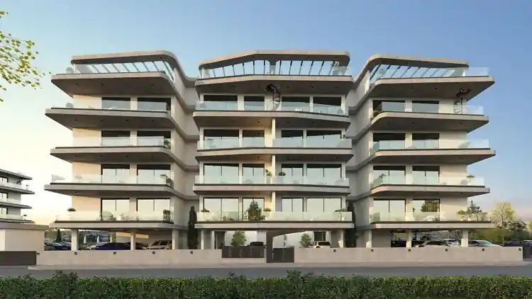 Project Image 6