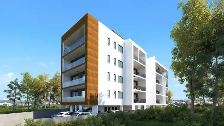 Project Image 3