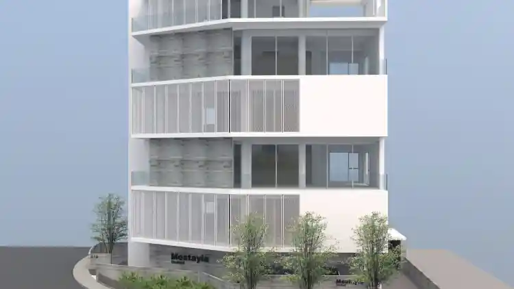 Project Image 3