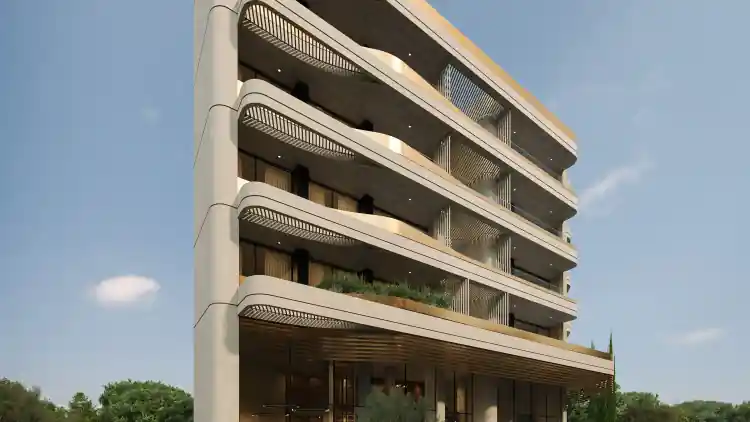 Project Image 6