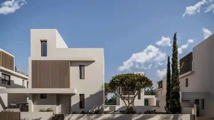 Project Image 14