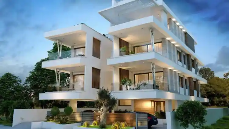 Project Image 1