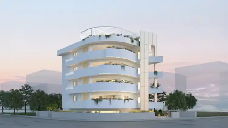 Project Image 1