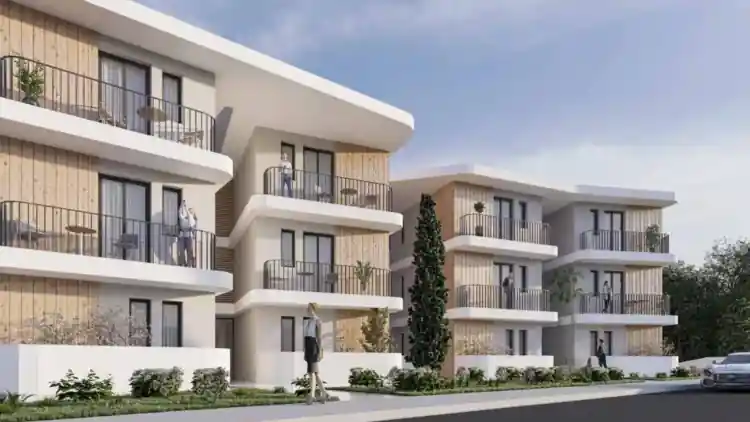 Project Image 1