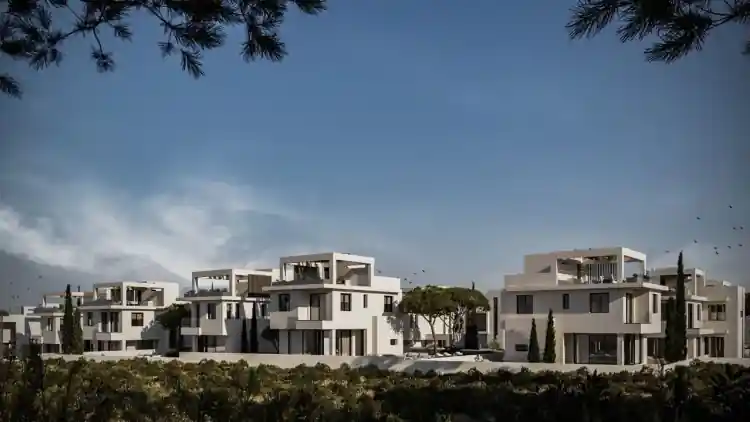 Project Image 7