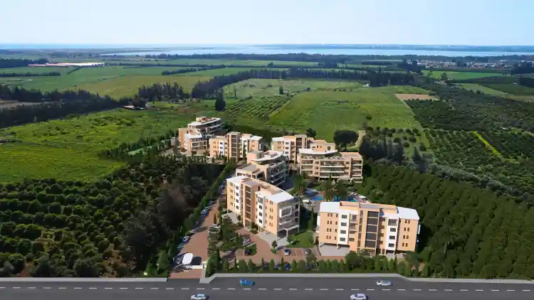 Project Image 6