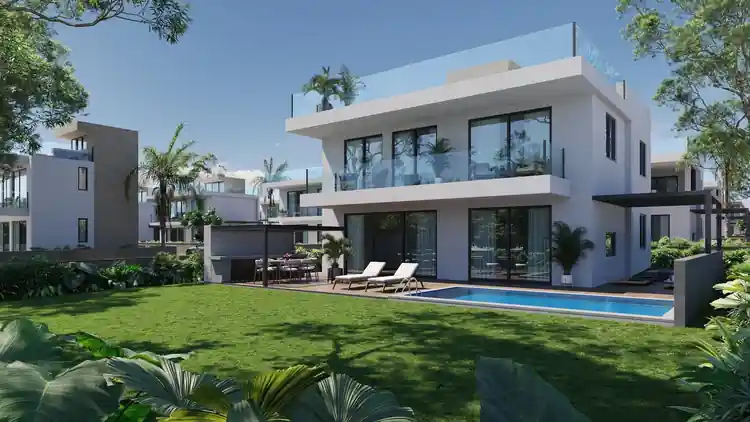 Project Image 8