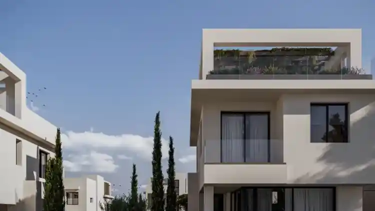 Project Image 12