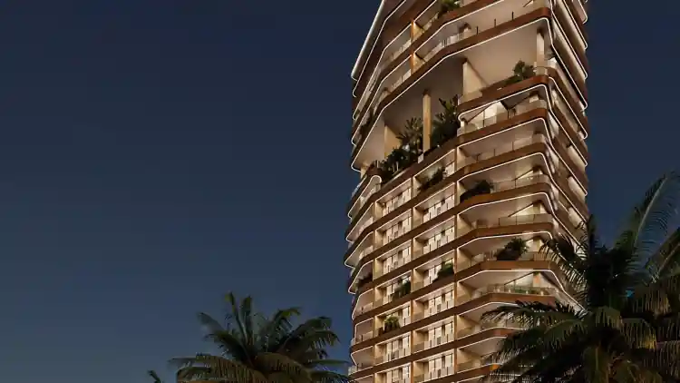 Project Image 1