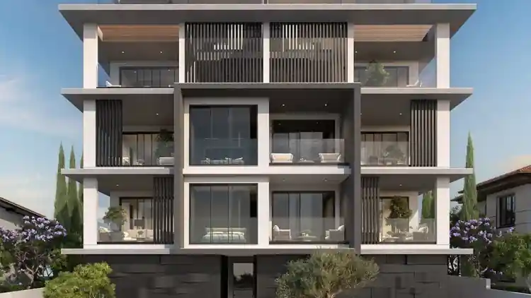 Project Image 1