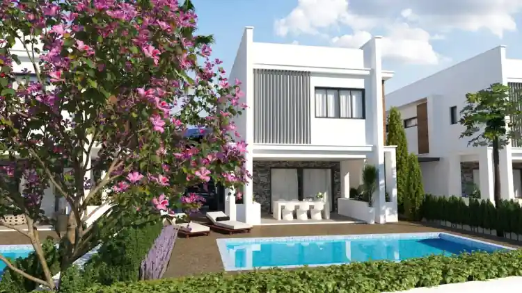 Project Image 11