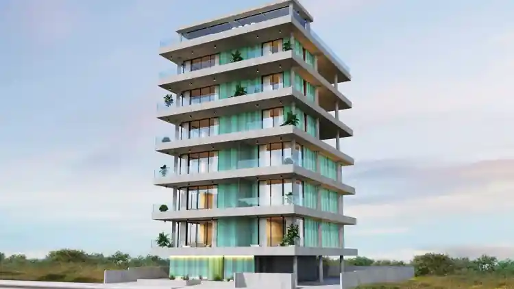 Project Image 1
