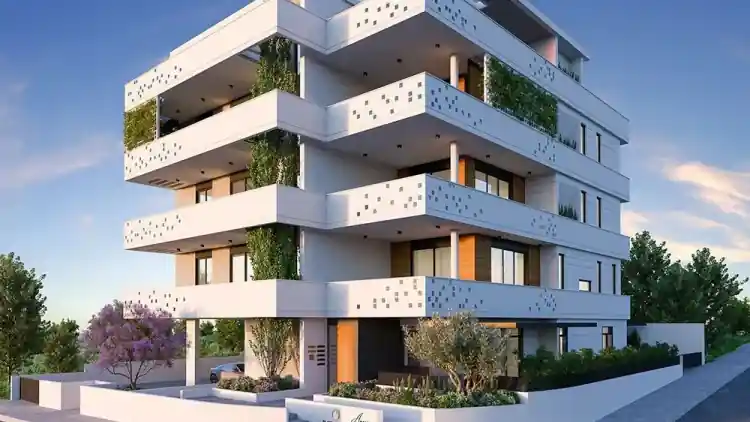 Project Image 1