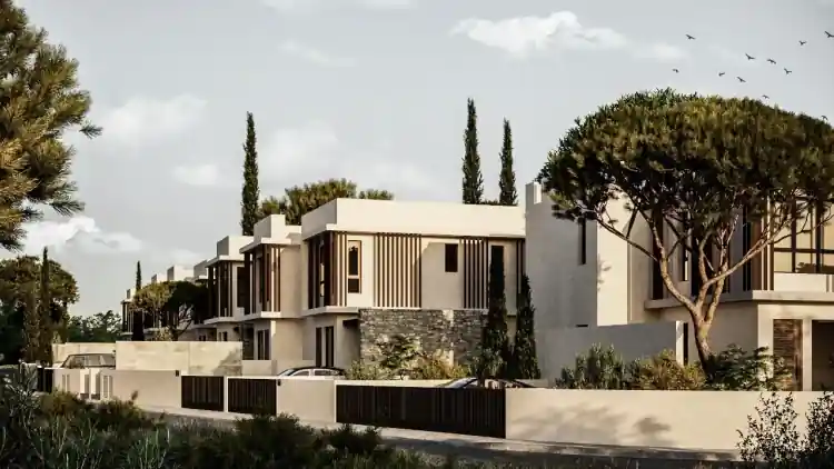 Project Image 13