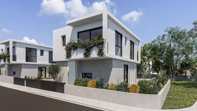 Project Image 6