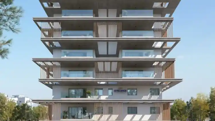 Project Image 1