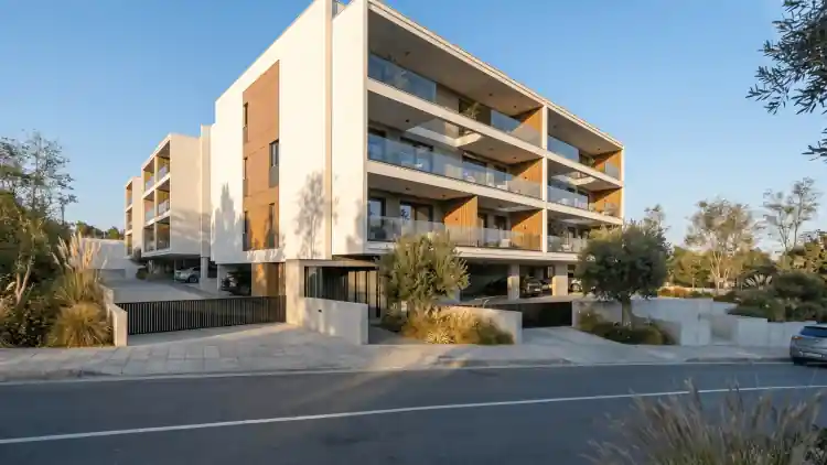 Project Image 1