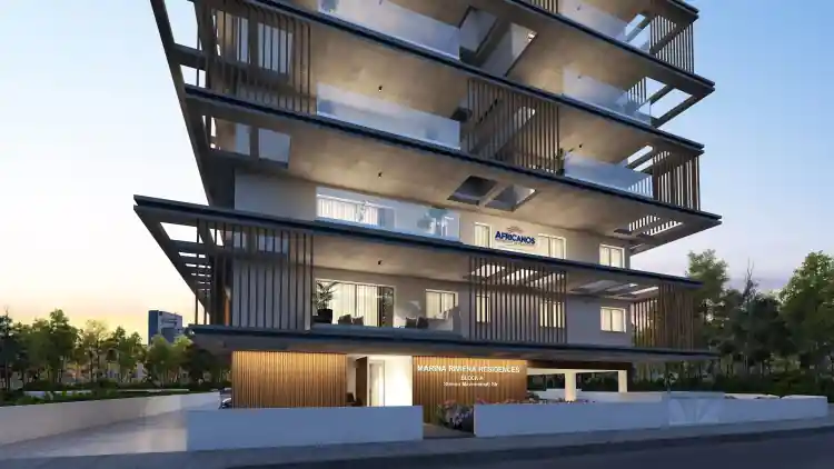 Project Image 6