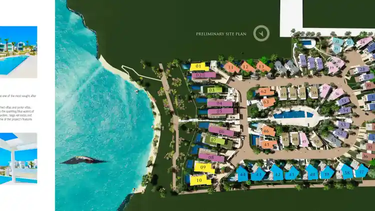 Project Image 16