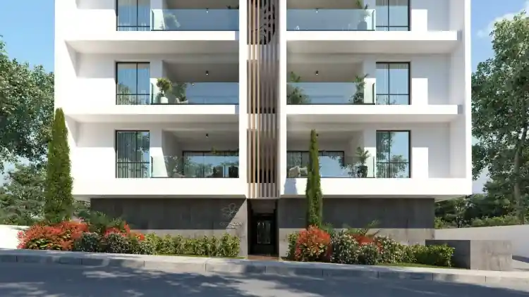 Project Image 4
