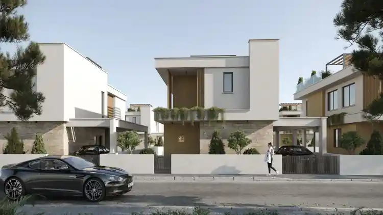 Project Image 3