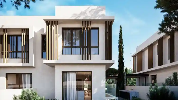 Project Image 12