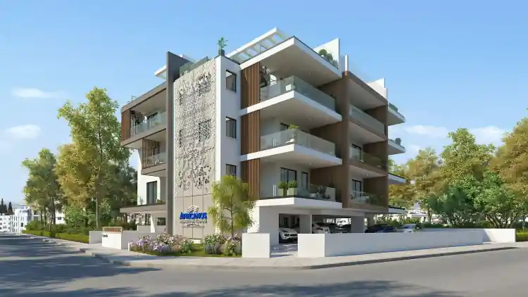 Project Image 5