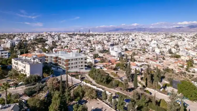 Project Image 6