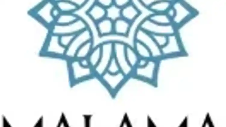 Project Image 4