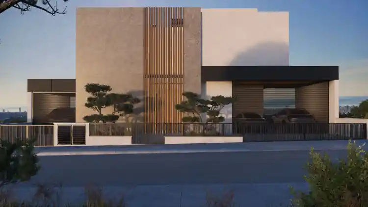 Project Image 1