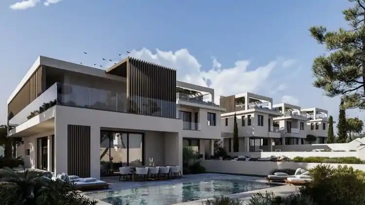 Project Image 13