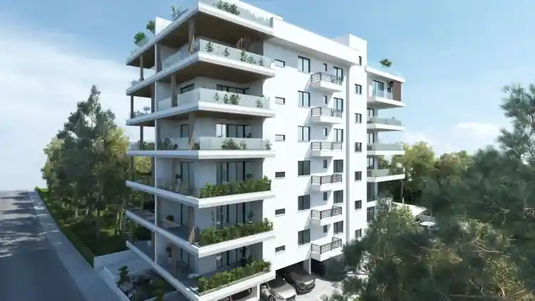 Project Image 6