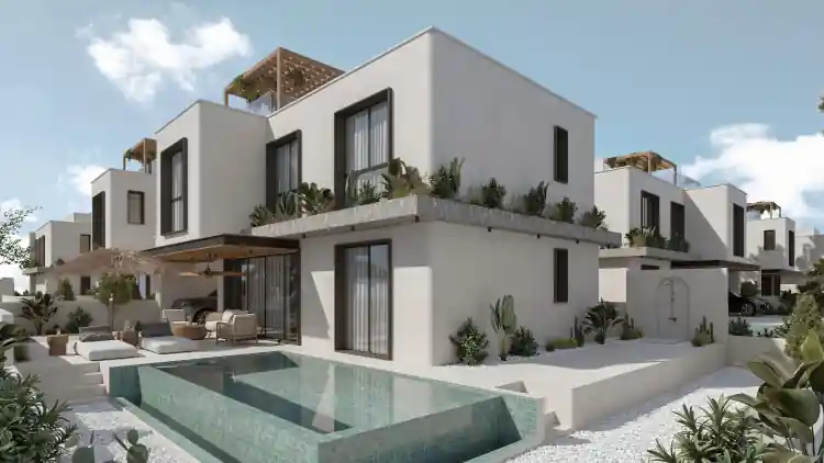 Project Image 13