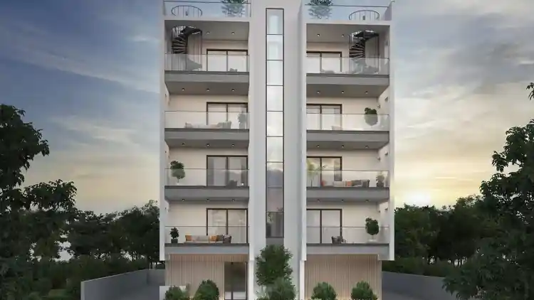 Project Image 1