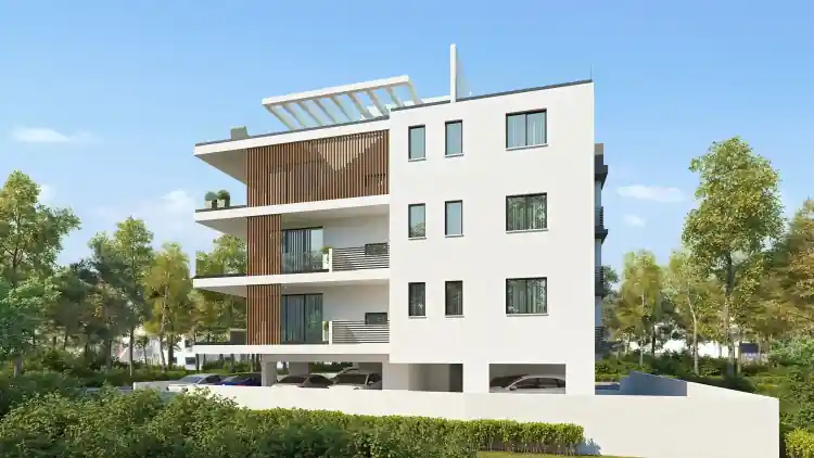 Project Image 9