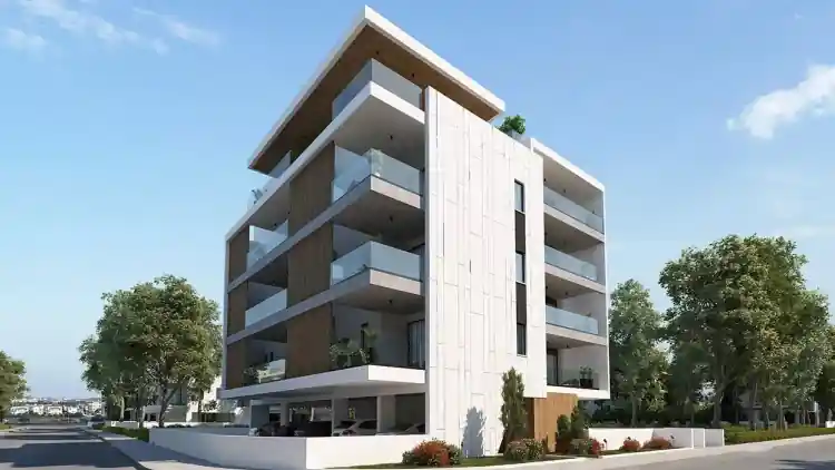 Project Image 2