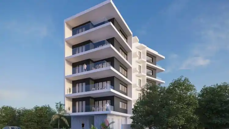 Project Image 1
