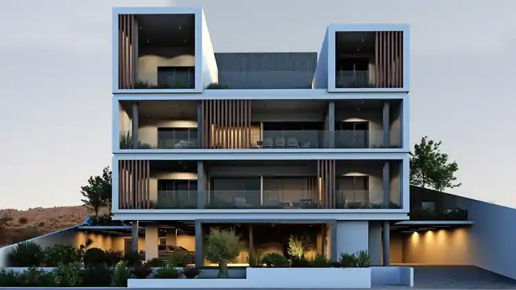 Project Image 1
